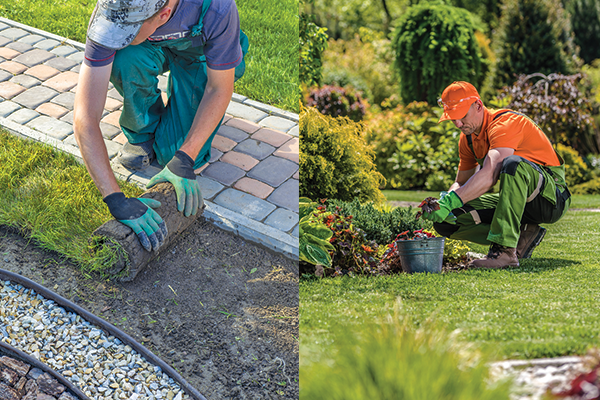 Tips For Hiring a Landscaper