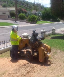 stump grinding