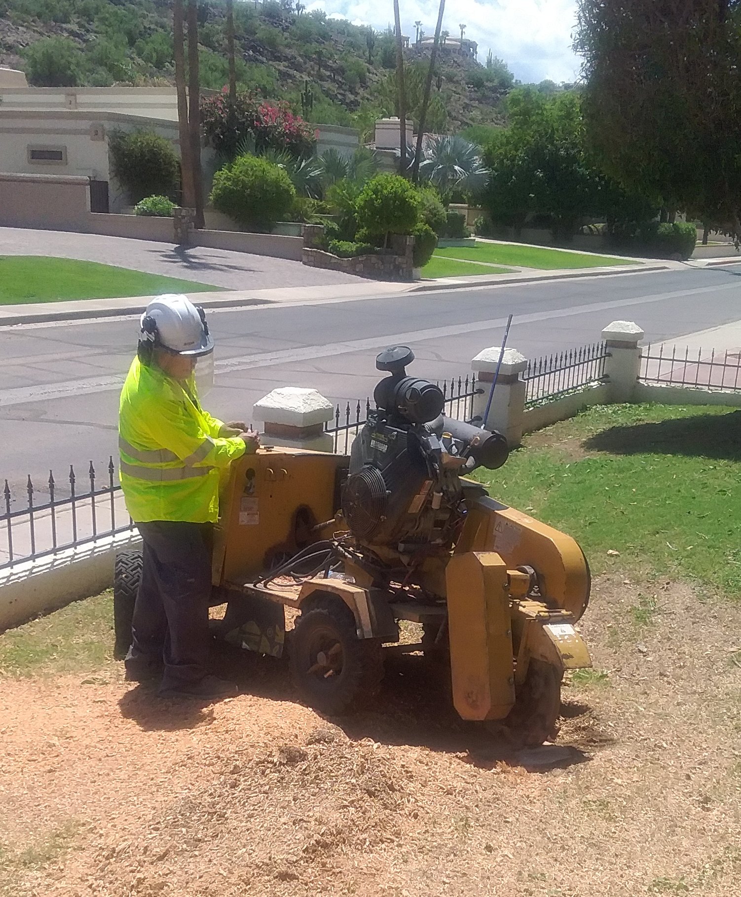 What Is Stump Grinding?