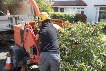 Types of Cuts Used in Tree Pruning