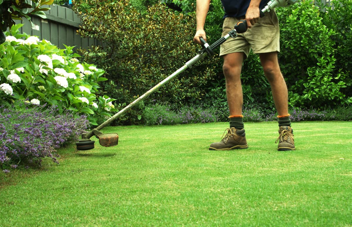 The Art of Landscape Maintenance