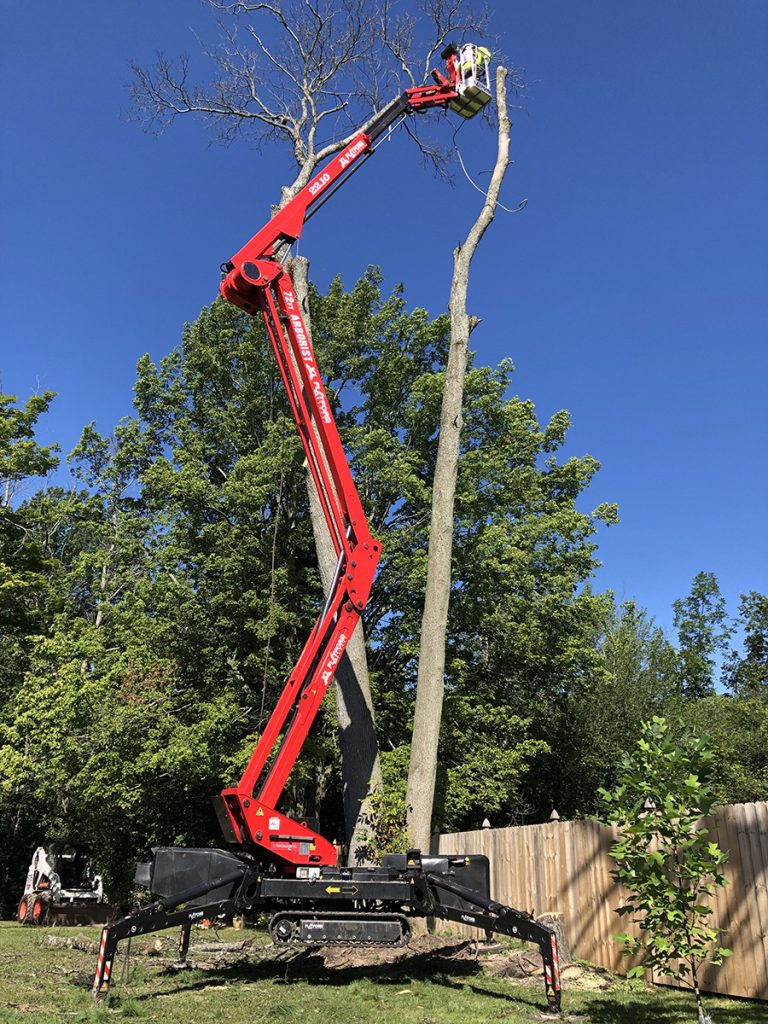 The Benefits of Hiring a Tree Service Company