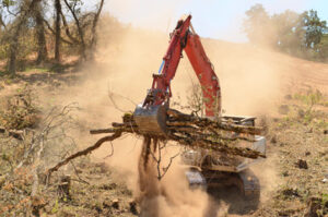 land clearing