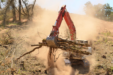 The Benefits of Land Clearing